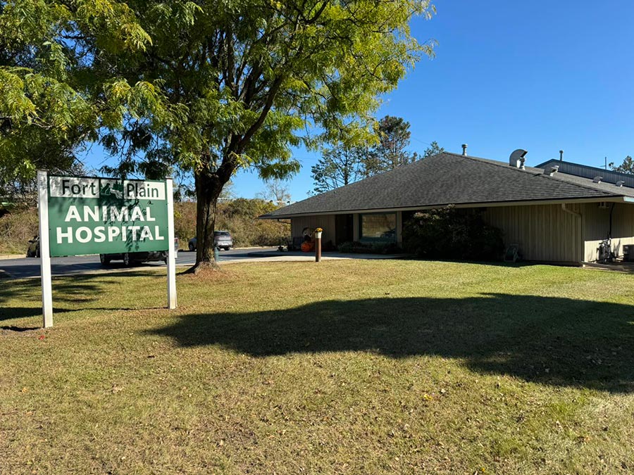 Fort Plain Animal Hospital Gutter Install